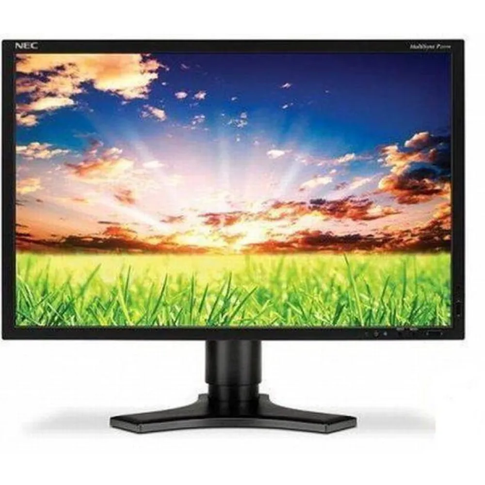 NEC MultiSync E221W refurbished monitor