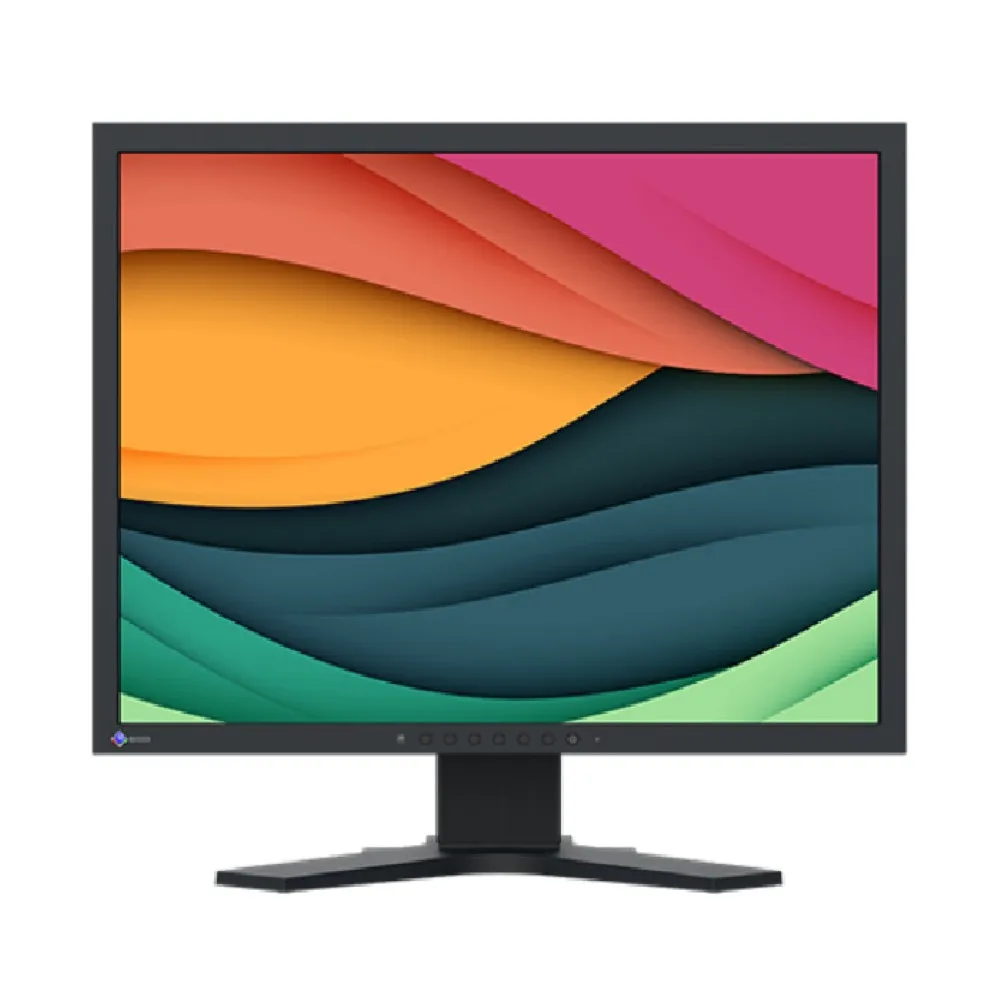 EIZO FlexScan SX2461WH refurbished monitor