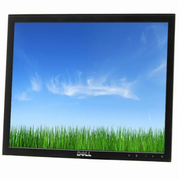 Dell Professional P170ST