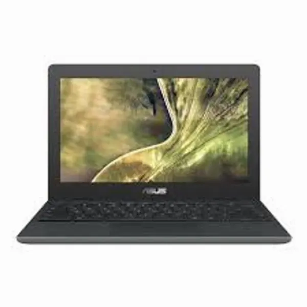 Asus C204M