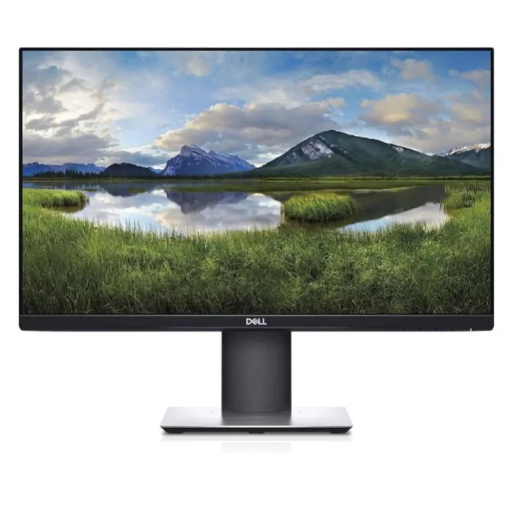 Dell Professional P2319H refurbished monitor