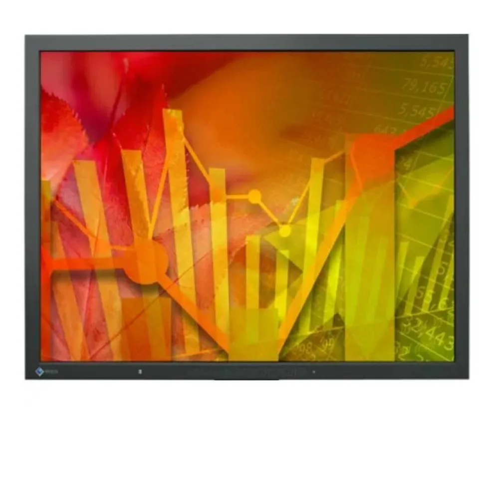EIZO FlexScan S2133 refurbished monitor