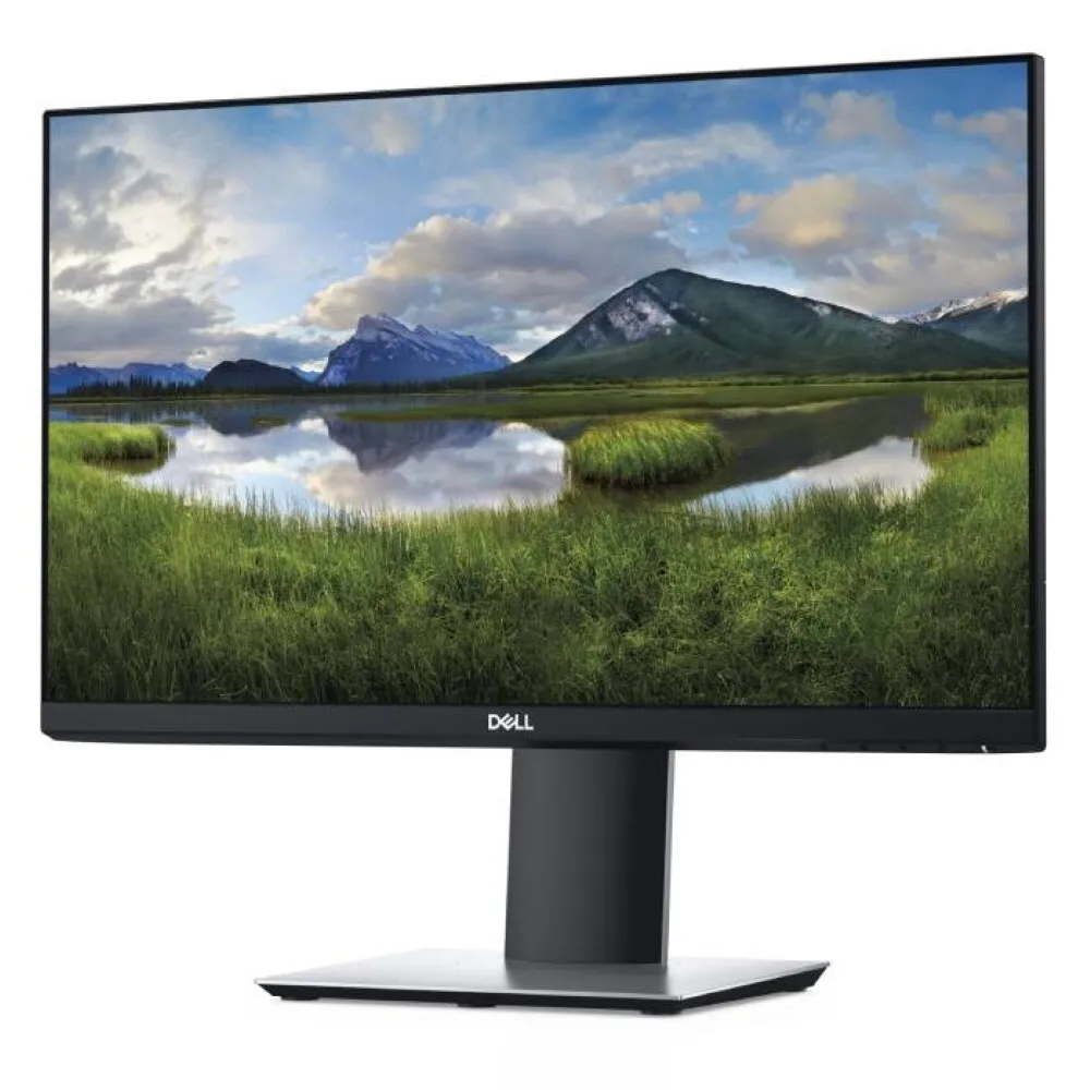 Dell Professional P2219H refurbished monitor