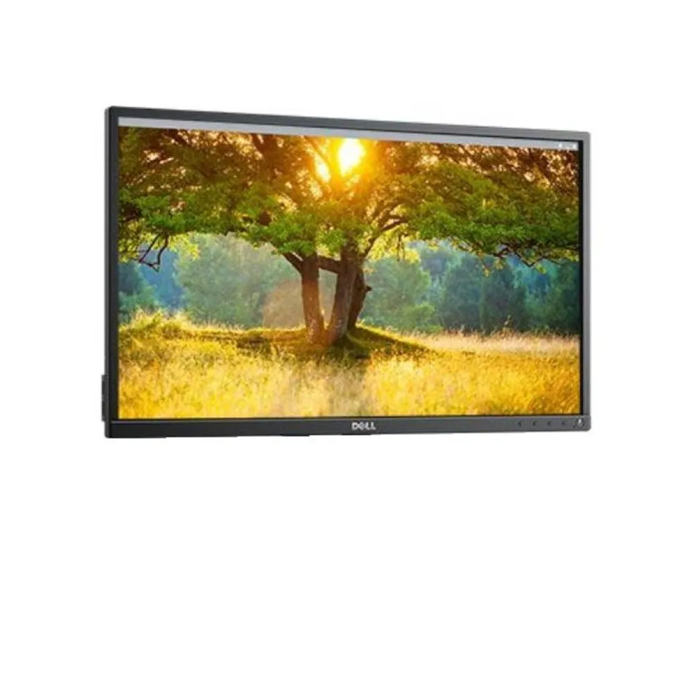 Dell Professional P2417H refurbished monitor
