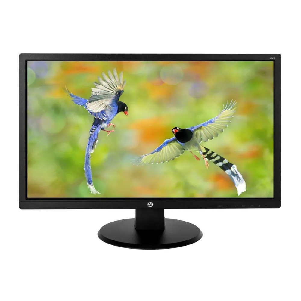 HP V243 refurbished monitor