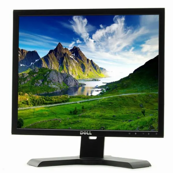 Dell Professional P190S