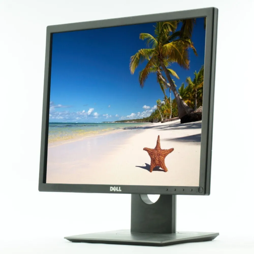 Dell Professional P1917S refurbished monitor