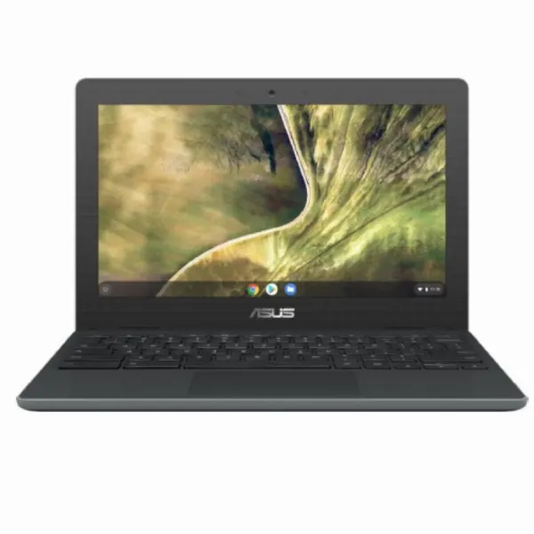 ASUS C204m